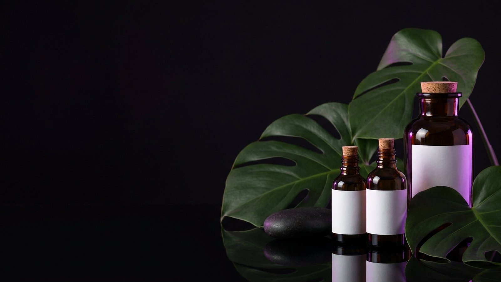 Rebuilding a Shopify Wellness Store's Path to Purchase